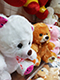 Мягкая игрушка медведь по низкой цене на Таганской | LaNord.ru