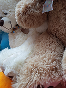 Купить мягкую игрушку медведь по самой доступной цене в Москве. От 600 руб. в интернет-магазине LaNord.ru