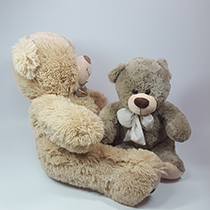 Купить мягкую игрушку медведя за 390 рублей в Москве | LaNord.ru
