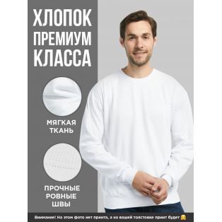 Мужской свитшот с принтом «Я знаю пароль» / Модная толстовка без капюшона с прикольной надписью.