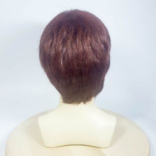 DG-7103 # 33A - парик из искусственных волос
