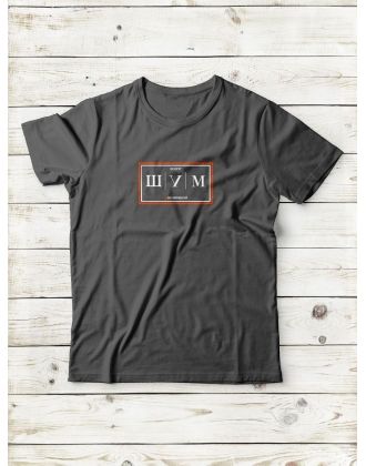 Футболка мужская хлопок оверсайз с принтом унисекс базовая однотонная спортивная с коротким рукавом