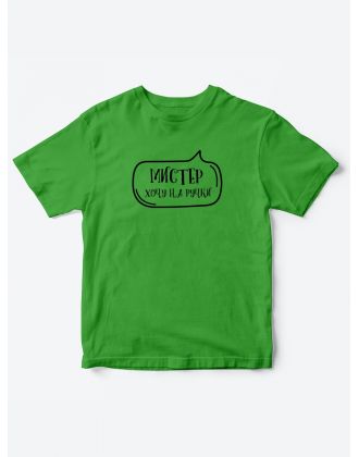 Прикольные футболки для мальчика Мистер На ручки | Клевые детские футболки с необычными принтами