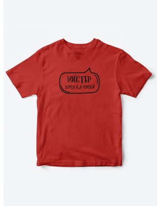 Прикольные футболки для мальчика Мистер На ручки | Клевые детские футболки с необычными принтами