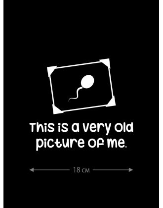 Наклейка на автомобиль, на любую твердую поверхность | Смешная и прикольная наклейка на машину