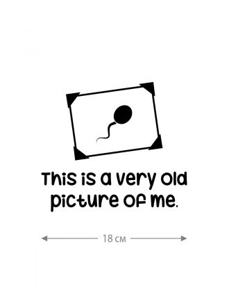 Наклейка на автомобиль, на любую твердую поверхность | Смешная и прикольная наклейка на машину