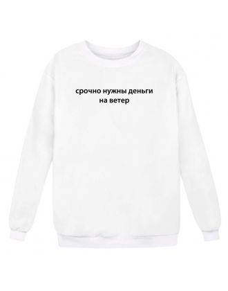 Прикольный свитшот с надписью "Срочно нужны деньги на ветер"