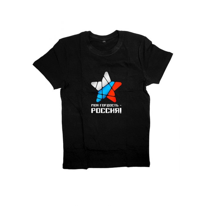 Мужская футболка с прикольным принтом "Моя гордость - Россия"