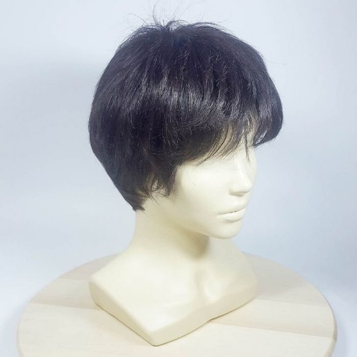 DG-7103 # 2SP33 - парик из искусственных волос
