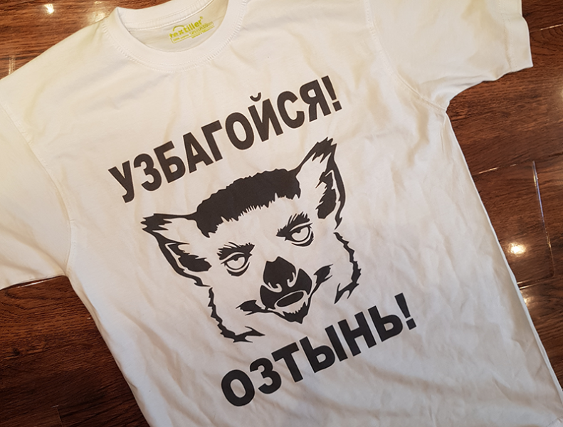 Цена принта на футболку за 790 рублей в Москве LaNord.ru