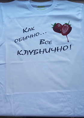 Печать на футболке от 1 штуки за 790 рублей Ланорд